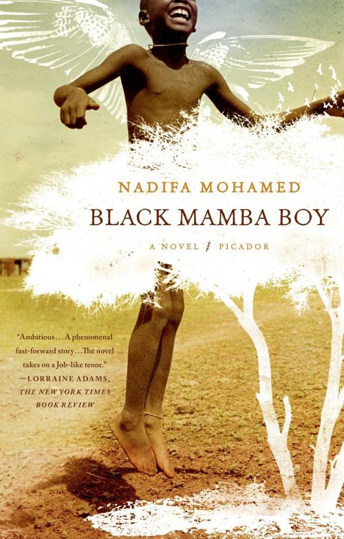 Cover of the book Black Mamba Boy by Nadifa Mohamed, Farrar, Straus and Giroux
