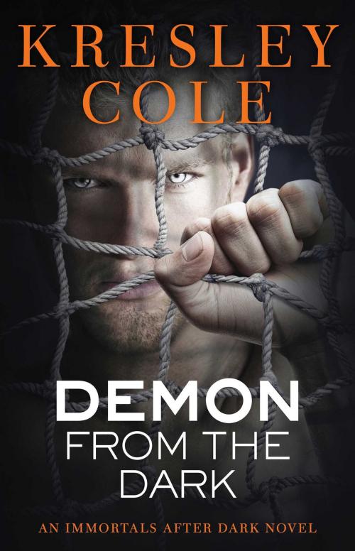 Cover of the book Demon from the Dark by Kresley Cole, Pocket Books