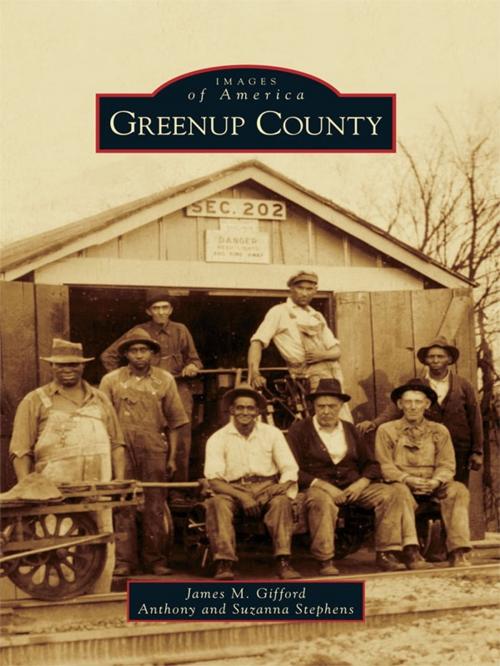 Cover of the book Greenup County by James M. Gifford, Anthony Stephens, Suzanna Stephens, Arcadia Publishing Inc.