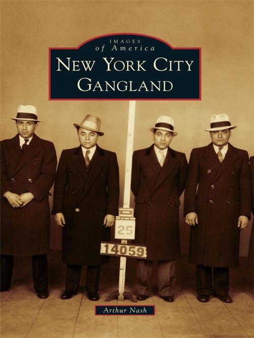 Cover of the book New York City Gangland by Arthur Nash, Arcadia Publishing Inc.