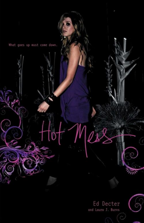 Cover of the book Hot Mess by Ed Decter, Laura J. Burns, Simon Pulse