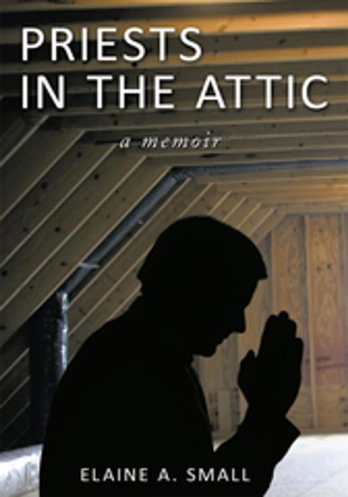 Cover of the book Priests in the Attic by Elaine A. Small, AuthorHouse