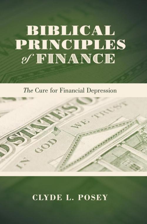 Cover of the book Biblical Principles of Finance by Clyde L. Posey, WestBow Press