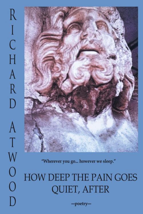 Cover of the book How Deep the Pain Goes Quiet, After by Richard Atwood, iUniverse