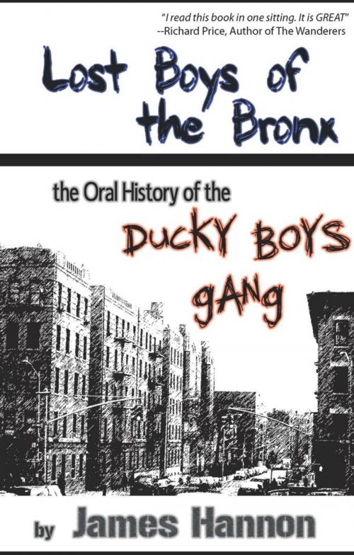 Cover of the book Lost Boys of the Bronx by James Hannon, AuthorHouse