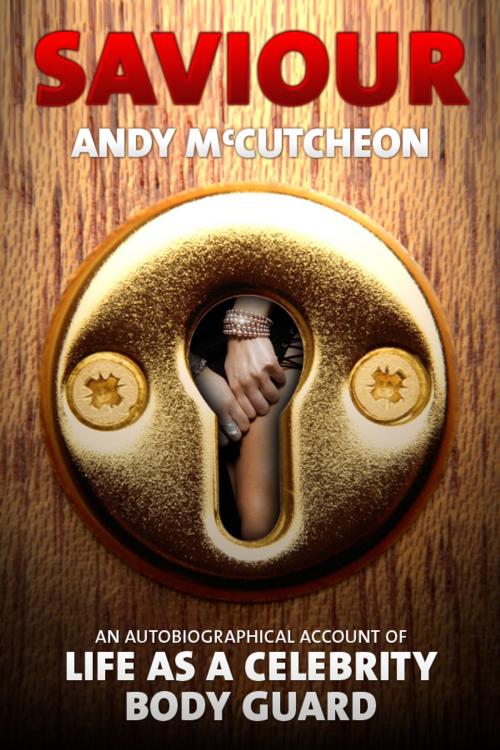 Cover of the book Saviour by Andy McCutcheon, NewWorldPublishing