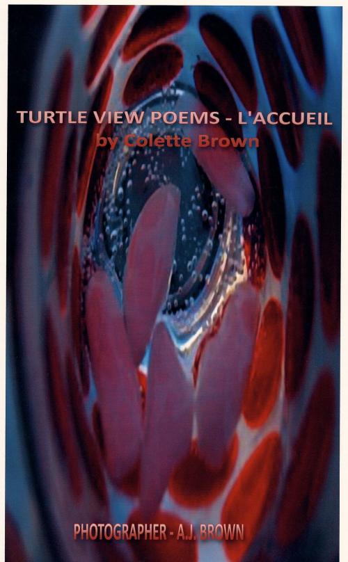 Cover of the book Turtle View Poems: L by Colette Brown, Colette Brown