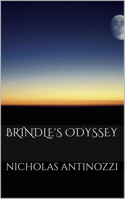Cover of the book Brindle's Odyssey by Nicholas Antinozzi, Nicholas Antinozzi