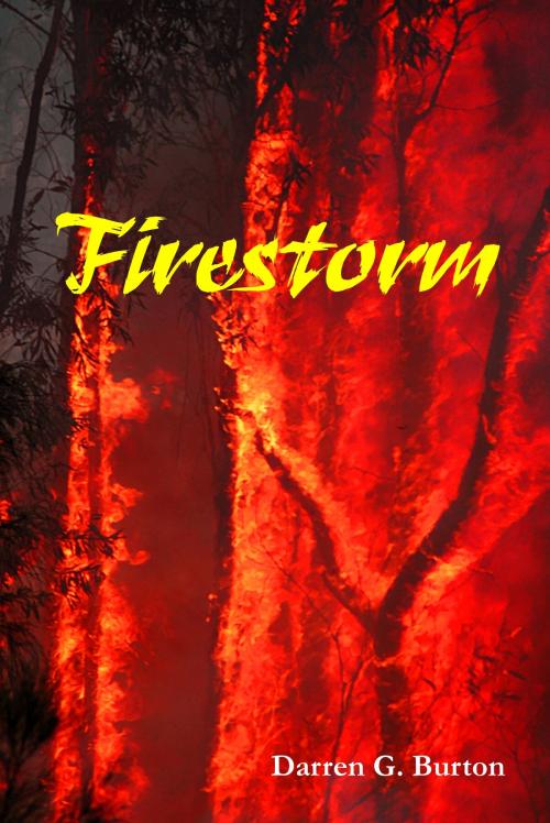 Cover of the book Firestorm by Darren G. Burton, Darren G. Burton