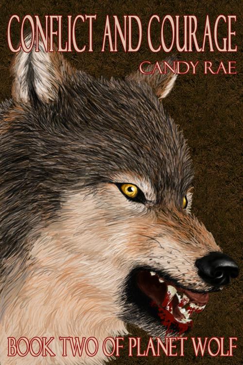 Cover of the book Conflict and Courage by Candy Rae, Candy Rae