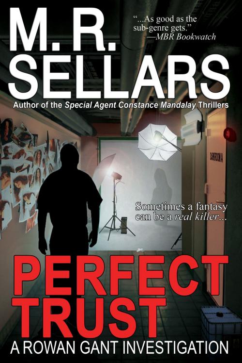 Cover of the book Perfect Trust: A Rowan Gant Investigation by M. R. Sellars, WillowTree Press