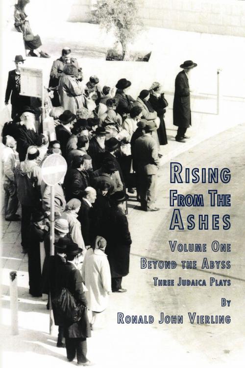 Cover of the book Rising from the Ashes Vol 1 by Ronald John Vierling, Xlibris US