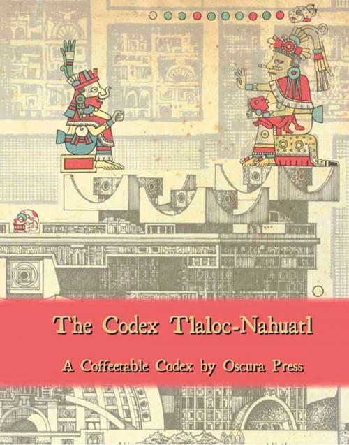 Cover of the book The Codex Tlaloc-Nahuatl by Jason Murk, Jason Murk
