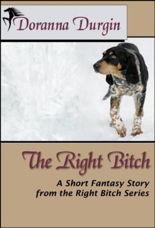 Cover of the book The Right Bitch by Doranna Durgin, Blue Hound Visions