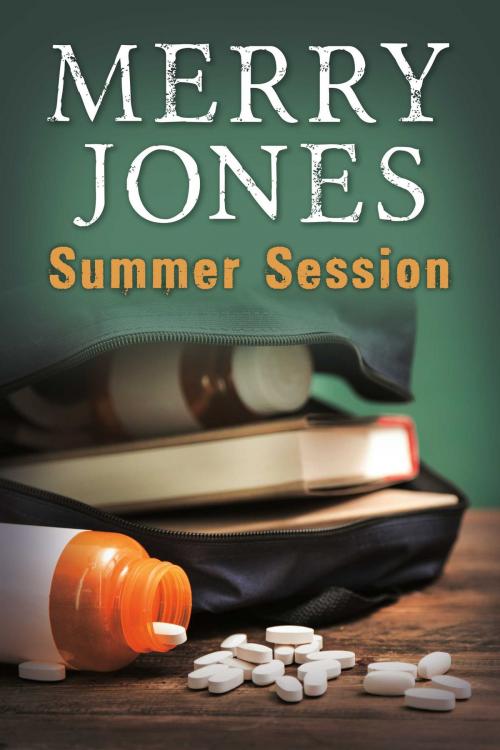 Cover of the book Summer Session by Merry Jones, BookBaby
