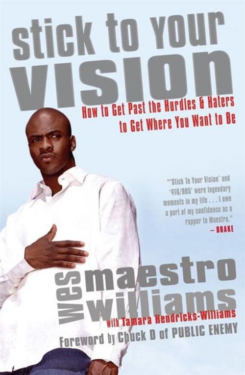 Cover of the book Stick to Your Vision by Wes Williams, McClelland & Stewart