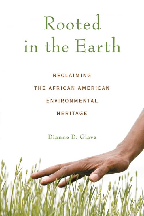 Cover of the book Rooted in the Earth by Dianne D. Glave, Chicago Review Press