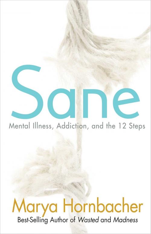 Cover of the book Sane by Marya Hornbacher, Hazelden Publishing