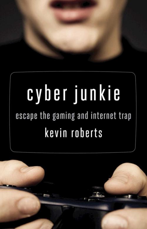 Cover of the book Cyber Junkie by Kevin Roberts, Hazelden Publishing
