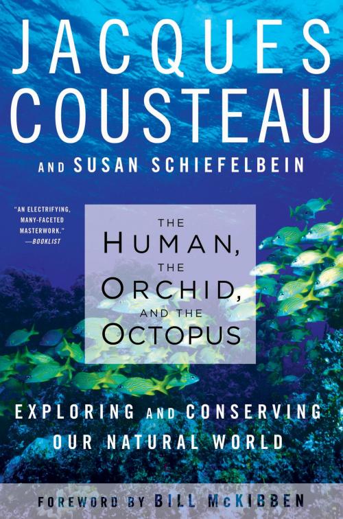 Cover of the book The Human, the Orchid, and the Octopus by Jacques Cousteau, Susan Schiefelbein, Bloomsbury Publishing