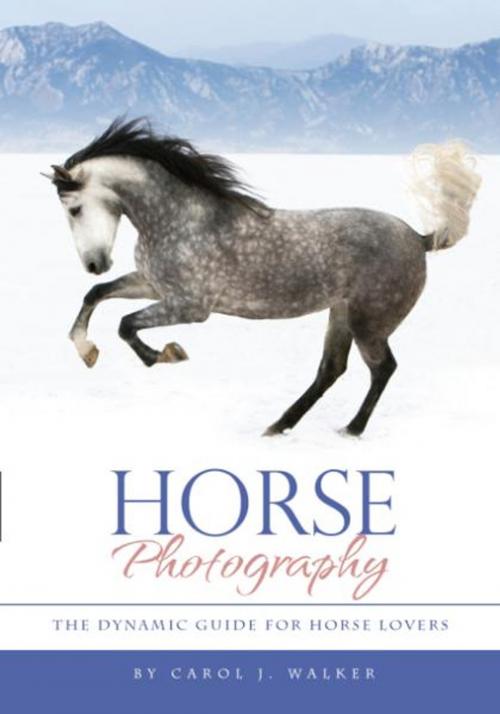 Cover of the book Horse Photography by Carol J. Walker, BookBaby