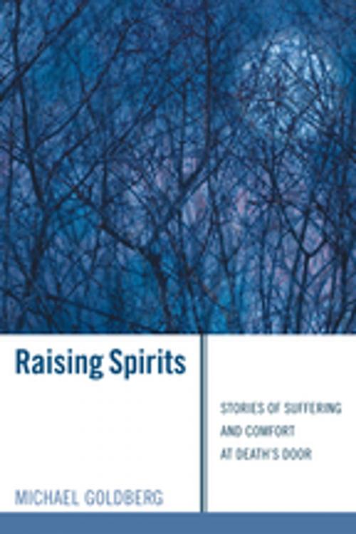 Cover of the book Raising Spirits by Michael Goldberg, Wipf and Stock Publishers