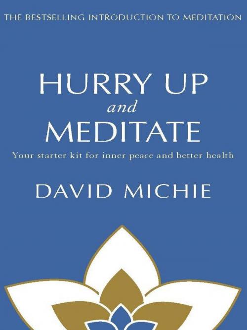 Cover of the book Hurry Up and Meditate by David Michie, Allen & Unwin
