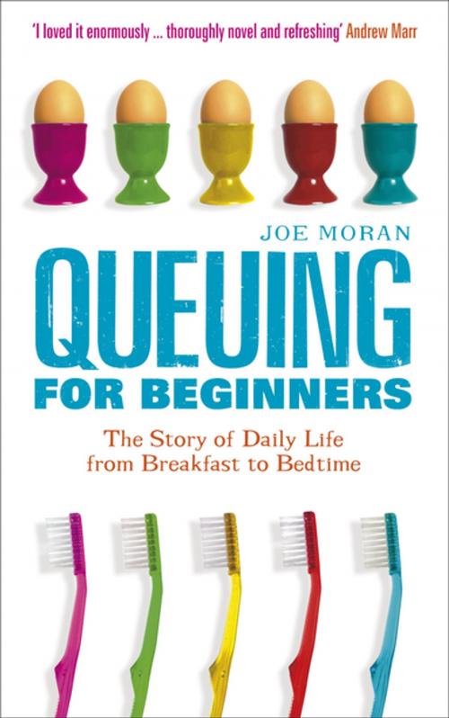 Cover of the book Queuing for Beginners: The Story of Daily Life From Breakfast to Bedtime by Joe Moran, Profile