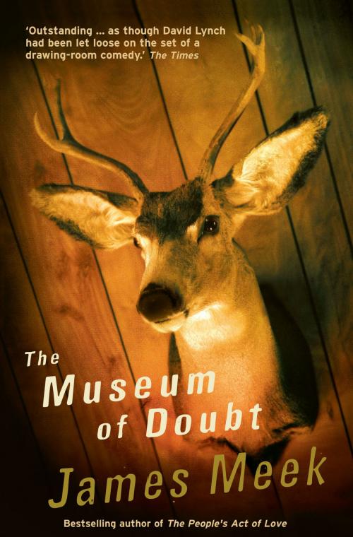 Cover of the book The Museum Of Doubt by James Meek, Canongate Books