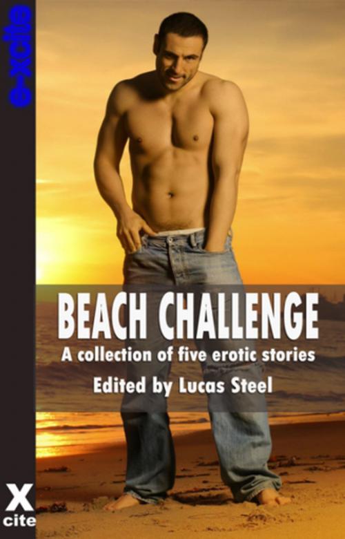 Cover of the book Beach Challenge by Elizabeth Coldwell, Ruth Ramsden, Garland, Michael Bracken, Penelope Friday, Xcite Books