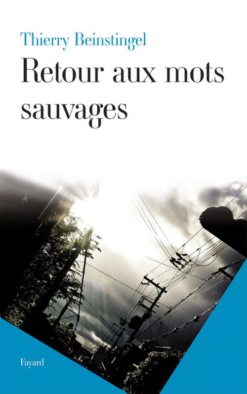 Cover of the book Retour aux mots sauvages by Thierry Beinstingel, Fayard