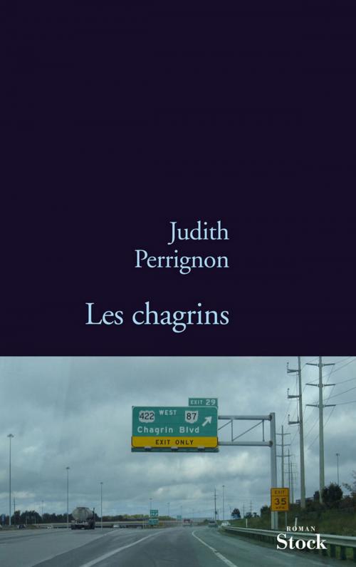 Cover of the book Les chagrins by Judith Perrignon, Stock