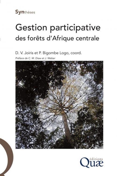 Cover of the book Gestion participative des forêts d'Afrique centrale by Daou Véronique Joiris, Patrice Bigombé Logo, Quae