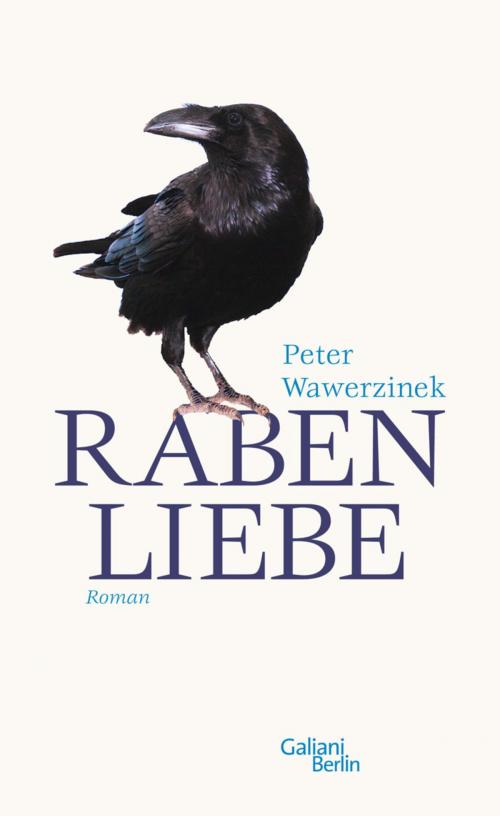 Cover of the book Rabenliebe by Peter Wawerzinek, Kiepenheuer & Witsch eBook