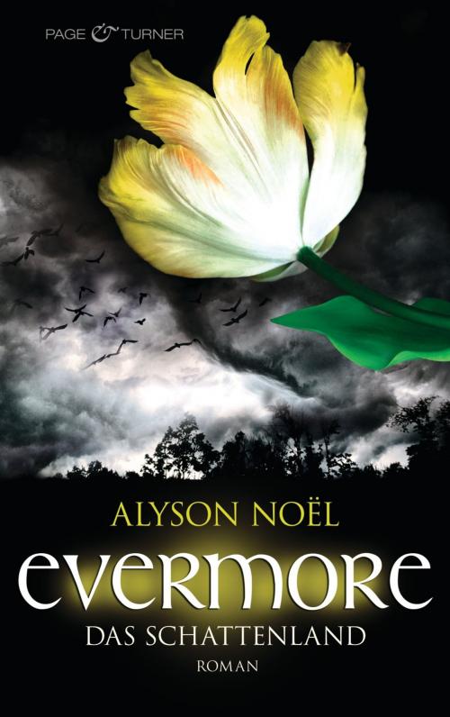 Cover of the book Evermore - Das Schattenland by Alyson Noël, Page & Turner