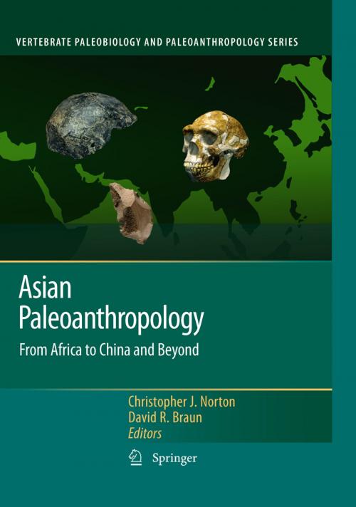 Cover of the book Asian Paleoanthropology by , Springer Netherlands