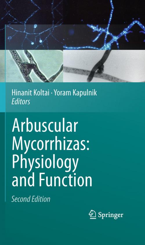 Cover of the book Arbuscular Mycorrhizas: Physiology and Function by , Springer Netherlands