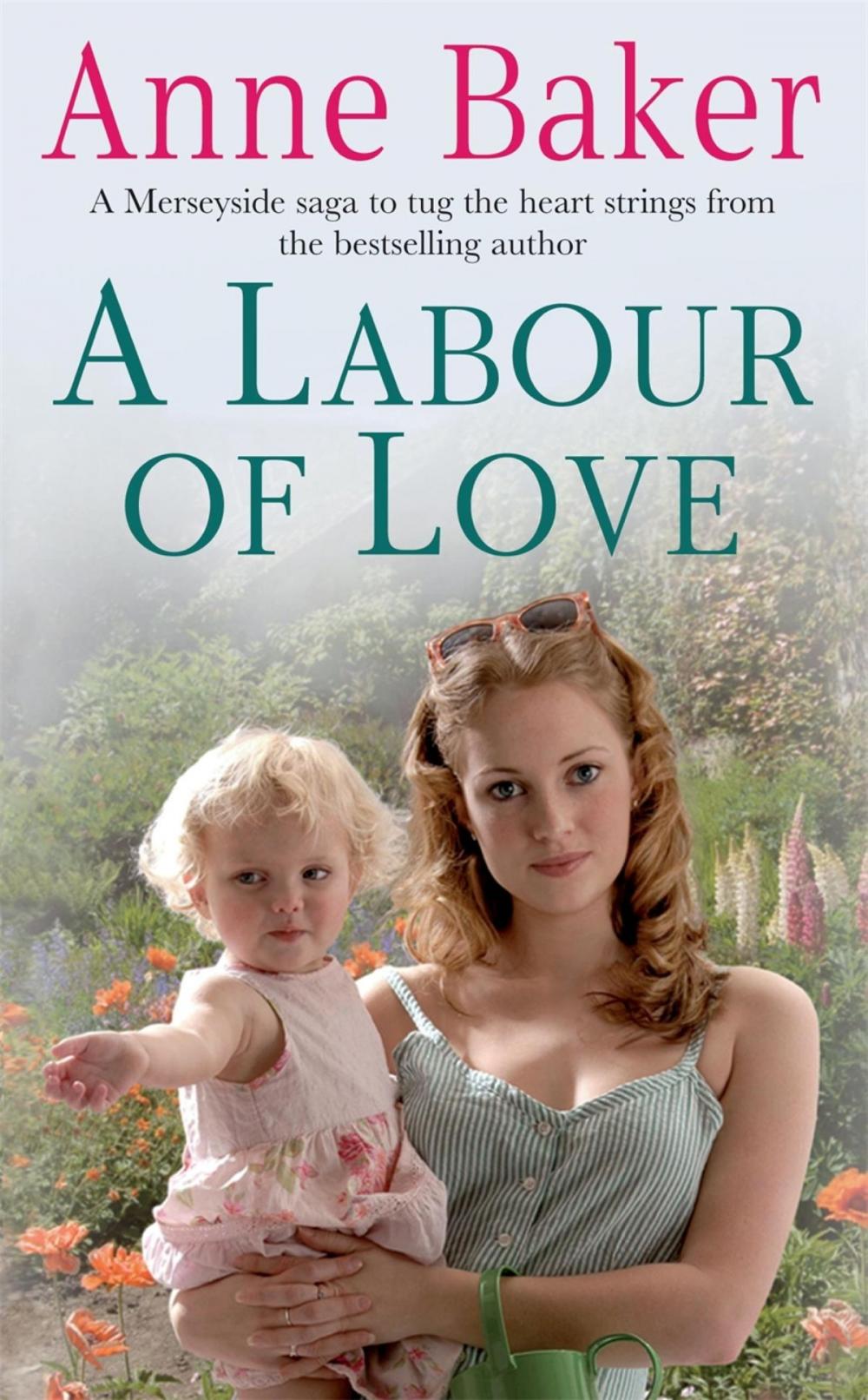Big bigCover of A Labour of Love