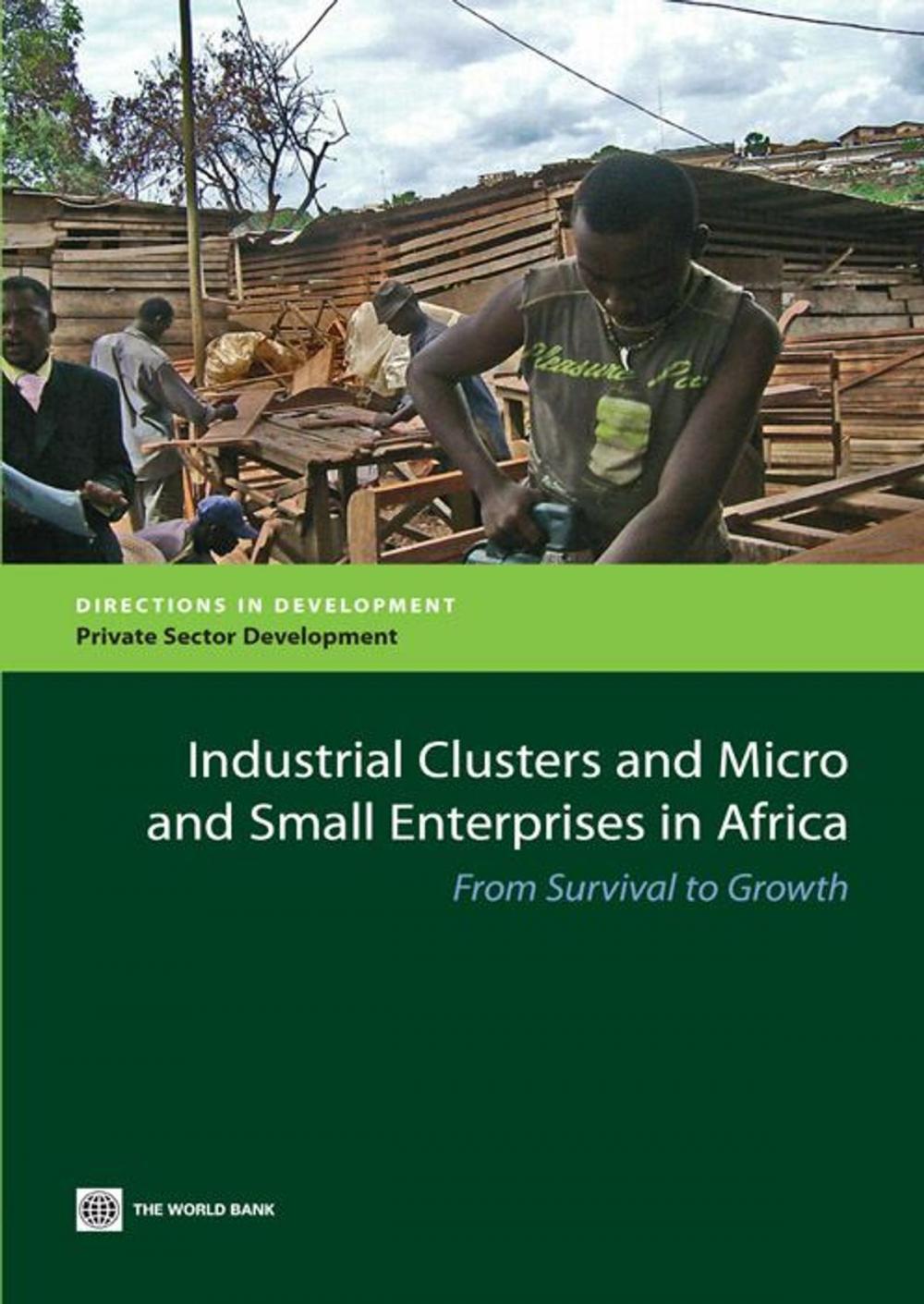 Big bigCover of Industrial Clusters and Micro and Small Enterprises in Africa: From Survival to Growth