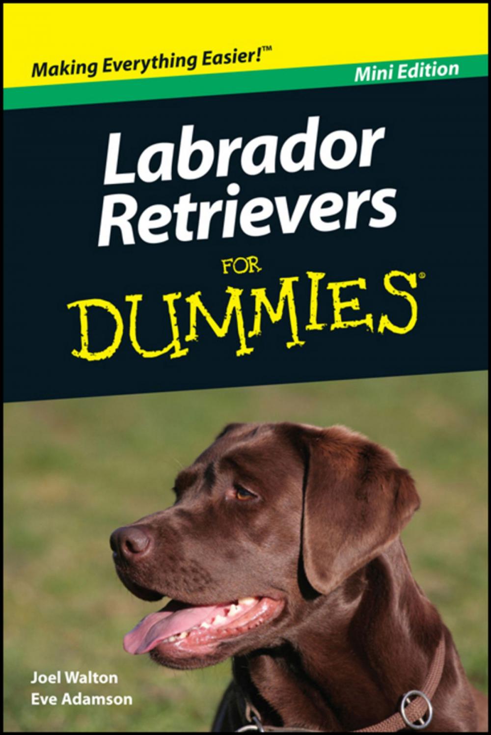 Big bigCover of Labrador Retrievers For Dummies, Mini Edition