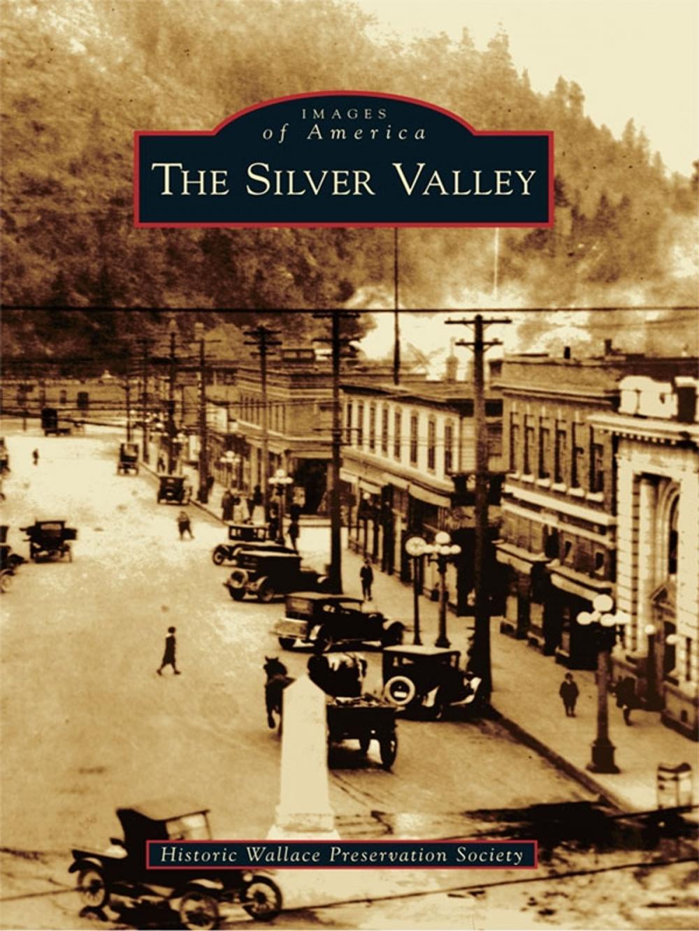 Big bigCover of The Silver Valley