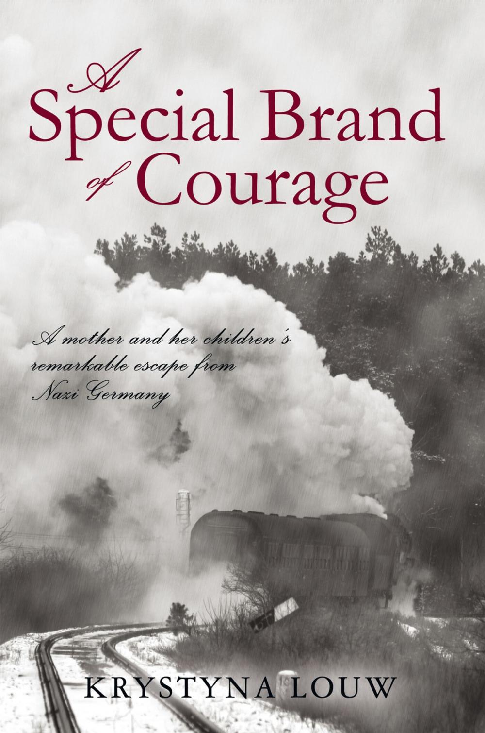 Big bigCover of A Special Brand of Courage
