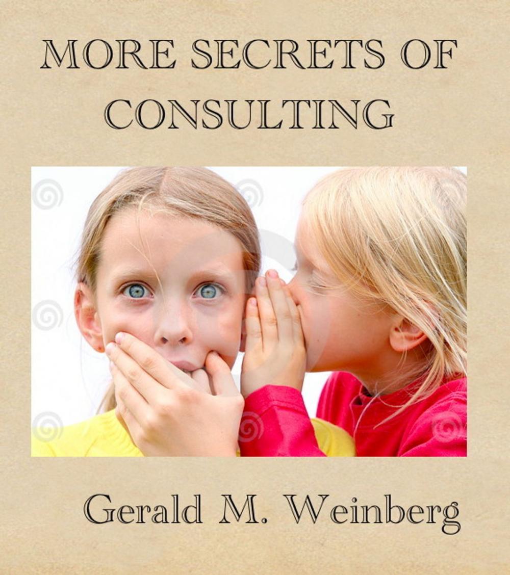 Big bigCover of More Secrets of Consulting