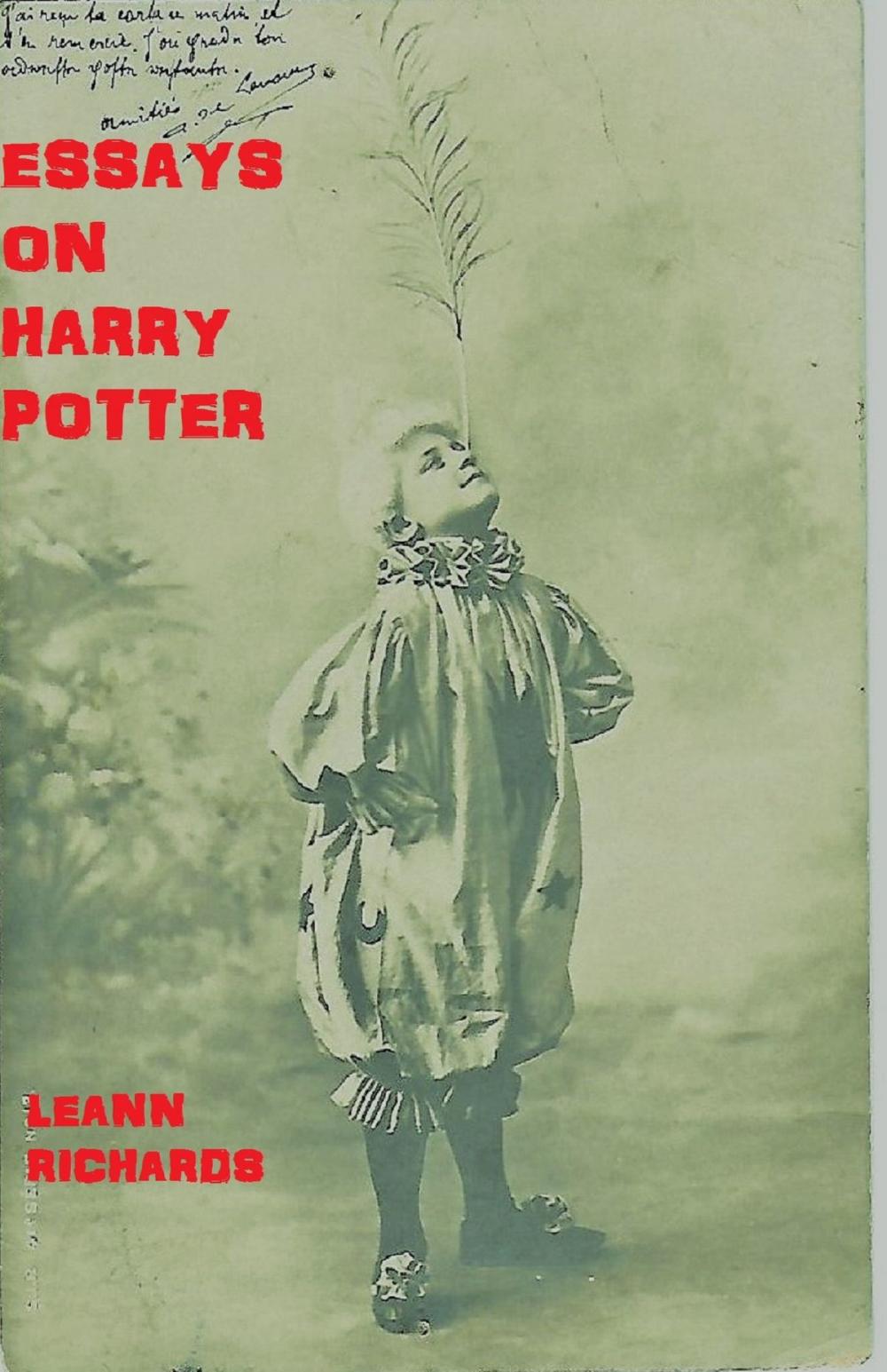 Big bigCover of Essays on Harry Potter