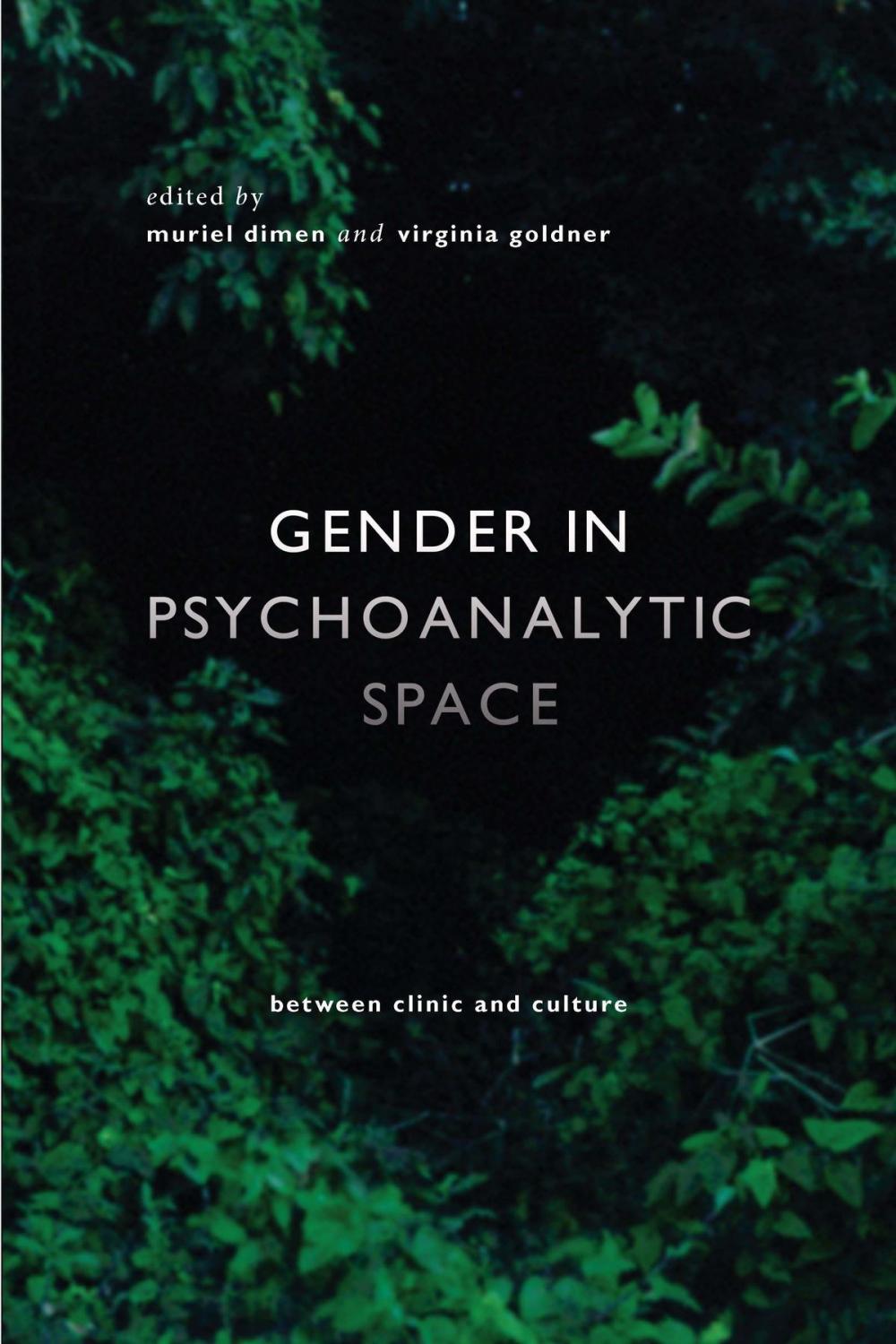 Big bigCover of Gender in Psychoanalytic Space