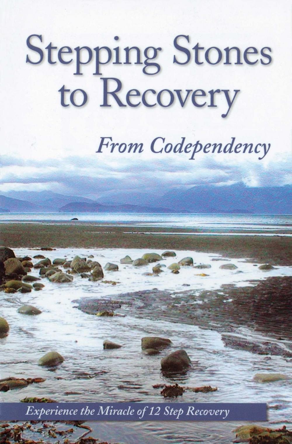 Big bigCover of Stepping Stones To Recovery From Codependency