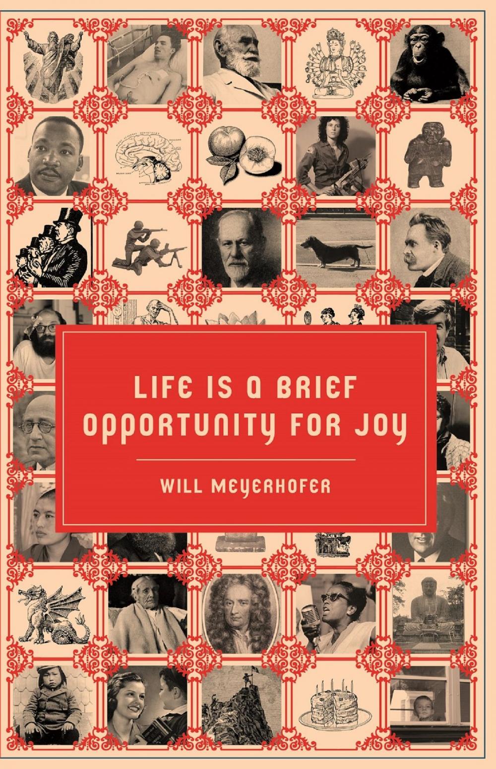 Big bigCover of Life is a Brief Opportunity for Joy