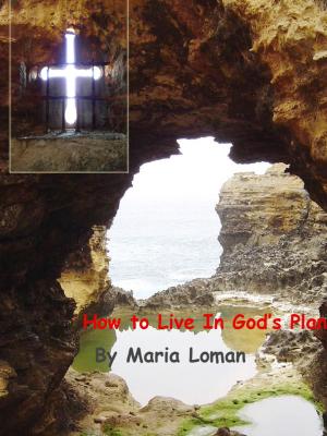 Cover of the book How to Live in God's Plan by Terry Ledwell