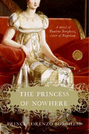 Cover of the book The Princess of Nowhere by Daniel Handler