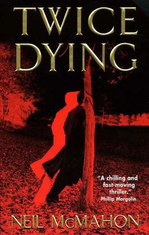Cover of the book Twice Dying by Clive Barker
